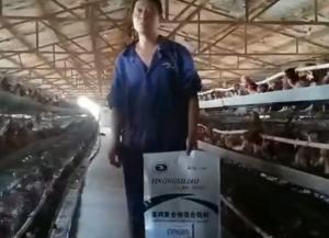 原保軍在河南安陽為益農(nóng)蛋雞預(yù)混料代言！